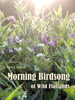 cover image of Morning Birdsong of Wild Flatlands